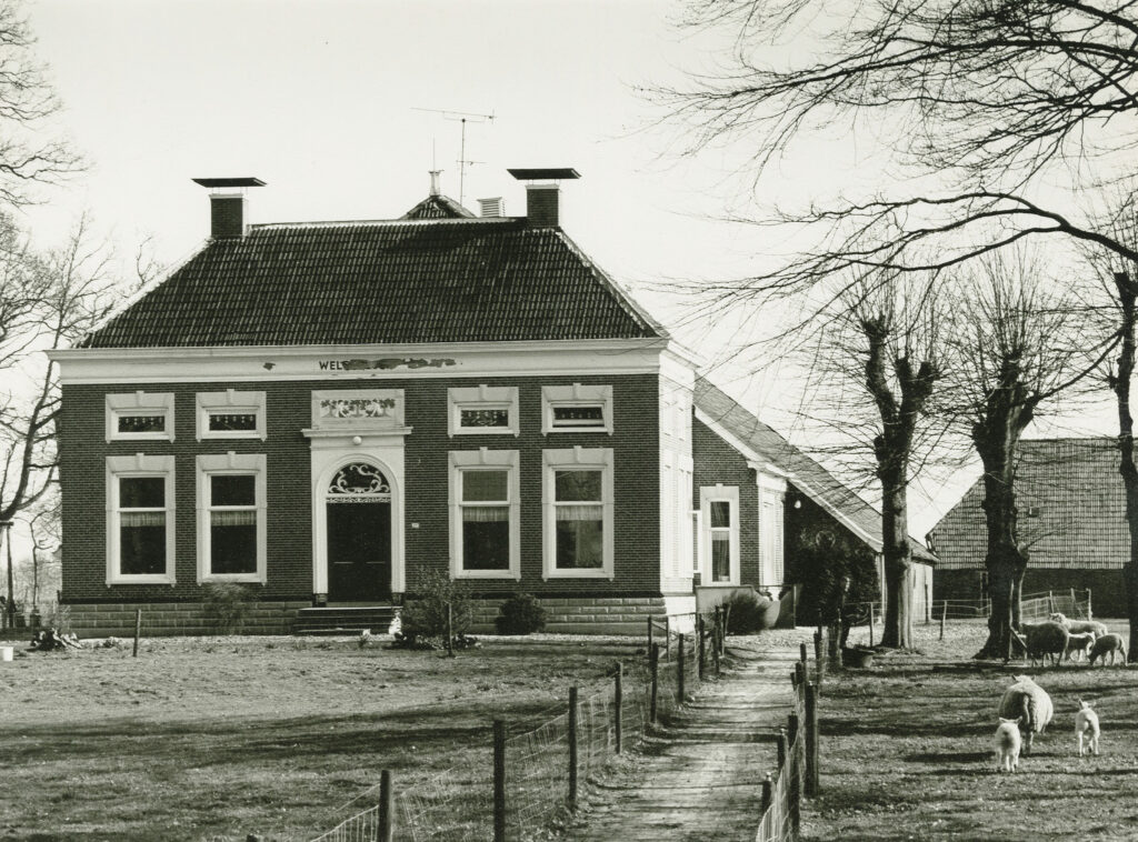 Hoofdafbeelding Hoofdweg 217