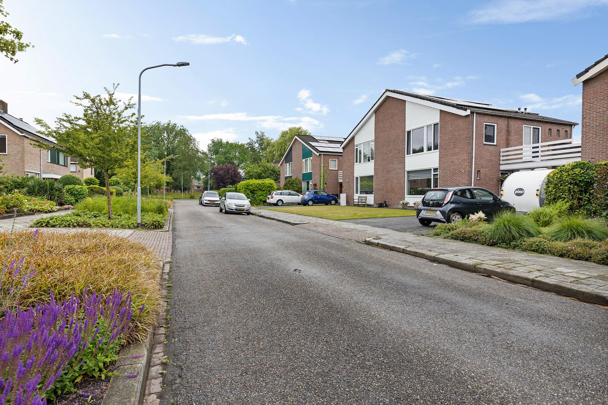 Hoofdafbeelding Trasraamsteen 8